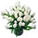 Белые тюльпаны. Тюльпаны - нежные, утонченные цветы для любителей весны и романтики. Сезон тюльпанов длится, как правило, с февраля по апрель. В остальное время их наличие ограничено, поэтому заказ лучше оформлять заранее.